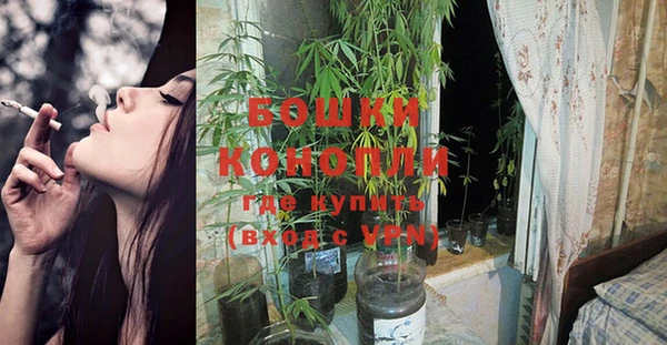 каннабис Бородино