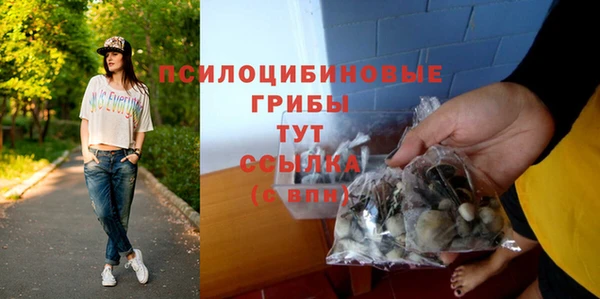 гидра Верея